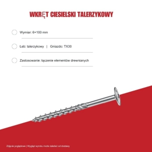 Wkręty talerzykowe B.PRO 6x100 TX30 100szt